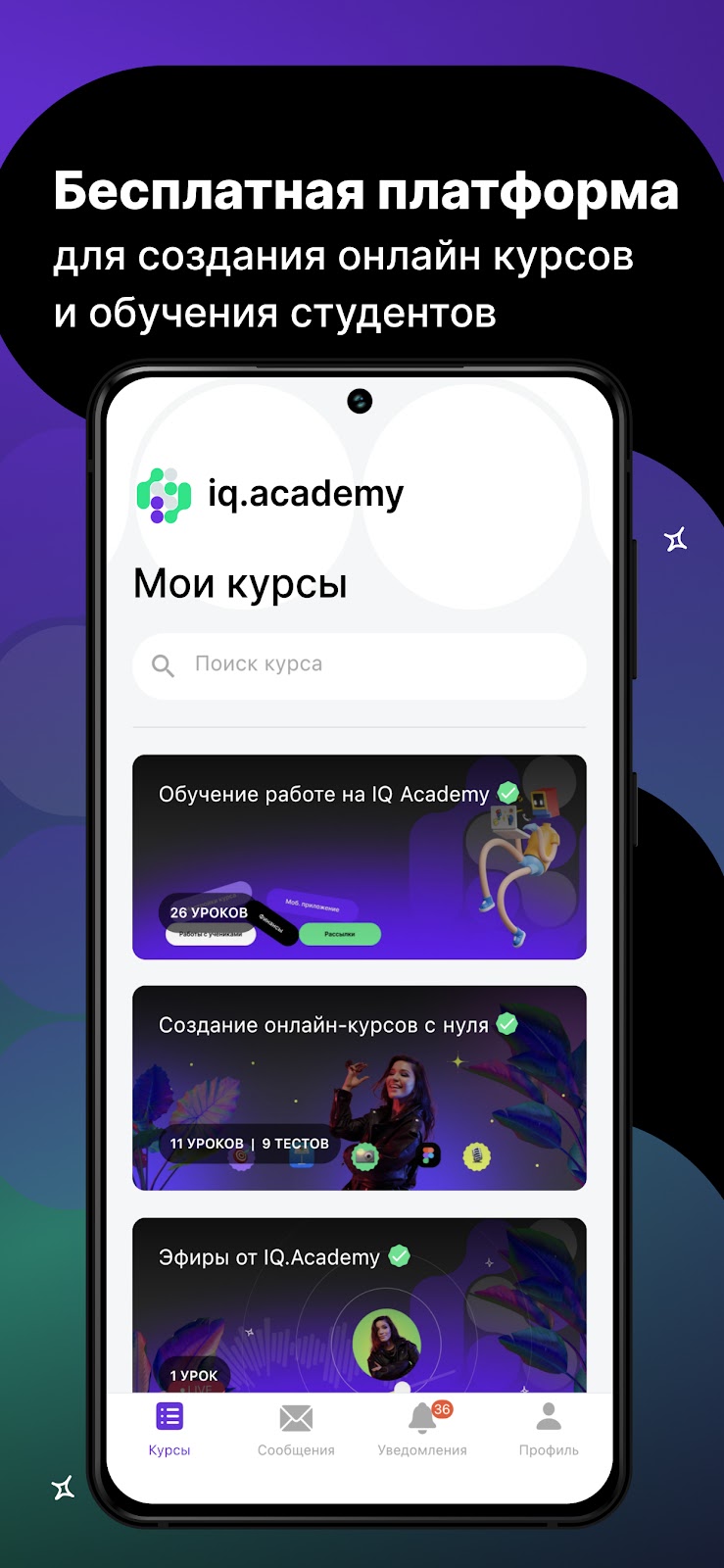 IQ.Academy — общий вид проекта